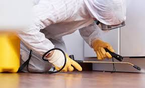 Real Estate Pest Inspections in Chinchilla, PA